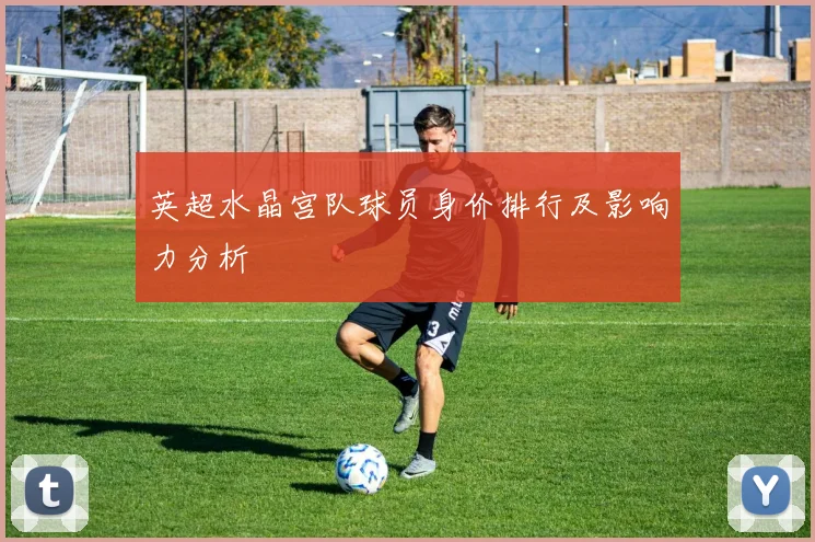 英超水晶宫队球员身价排行及影响力分析