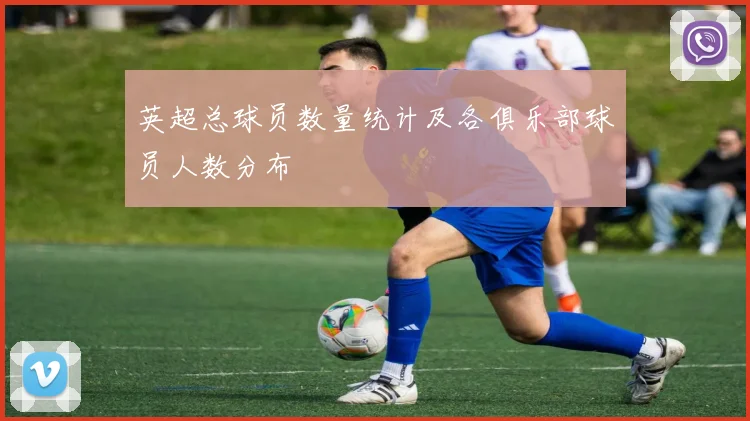 英超总球员数量统计及各俱乐部球员人数分布