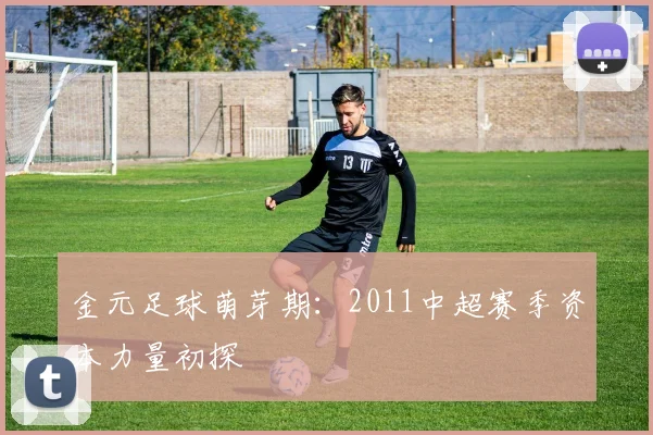 金元足球萌芽期：2011中超赛季资本力量初探