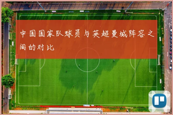 中国国家队球员与英超曼城阵容之间的对比